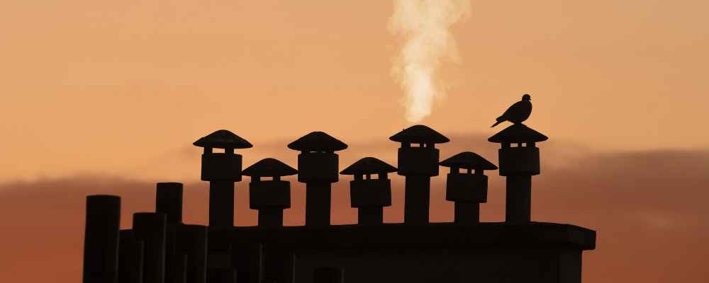 Silhouette of a bird resting on a chimney with rising smoke at sunset. wildlife in chimney